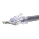 100029C termination view